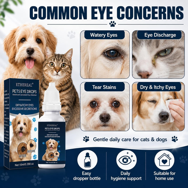 Cataract Drops for Dogs, Dog Eye Drops, Effective Dog Eye Infection Treatment Dog Eye Cleaner Cataract Eye Drops, Improve Vision Clarity, Relieve Red Eyes & Allergy Symptoms(2 x 10 mL)