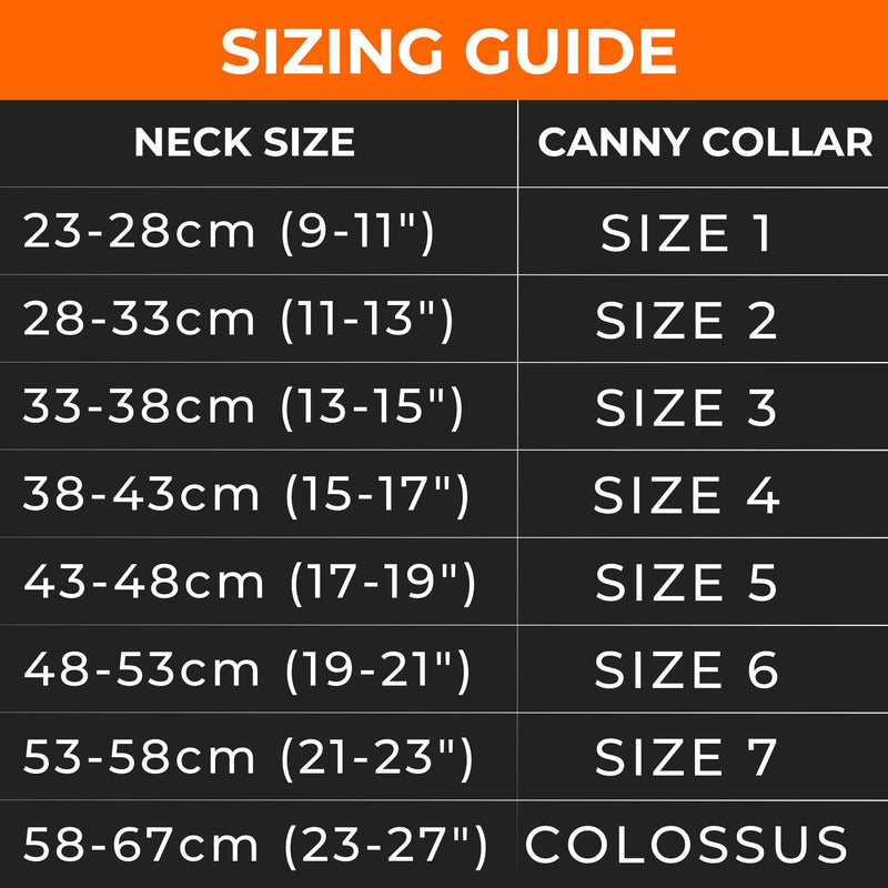 Canny Collar No-Pull Dog Headcollar | Train Your Dog To Stop Pulling & Walk On a Regular Collar & Loose Lead | Kind, Safe, Comfortable Training Aid | Purple – Size 4 Neck size 38-43cm - Size 4 - PawsPlanet Australia
