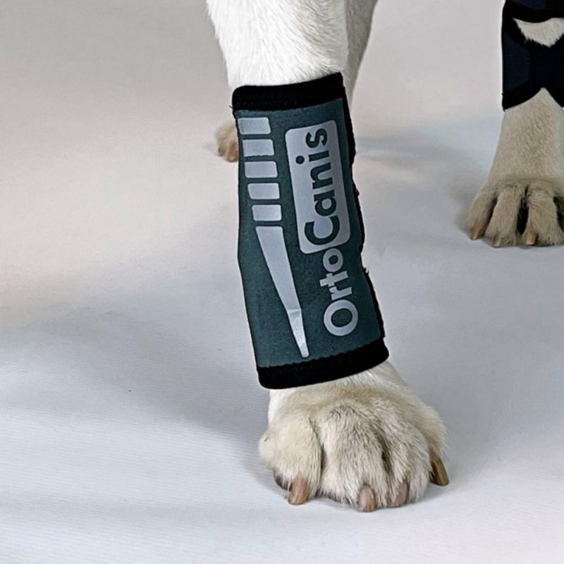 Ortocanis - Dog Leg Brace - Front Leg Brace for Dog - Arthritis, Ligament Injuries, Tendon Injuries or Agility Dogs - Made of Neoprene - Size XL 20-22 cm
