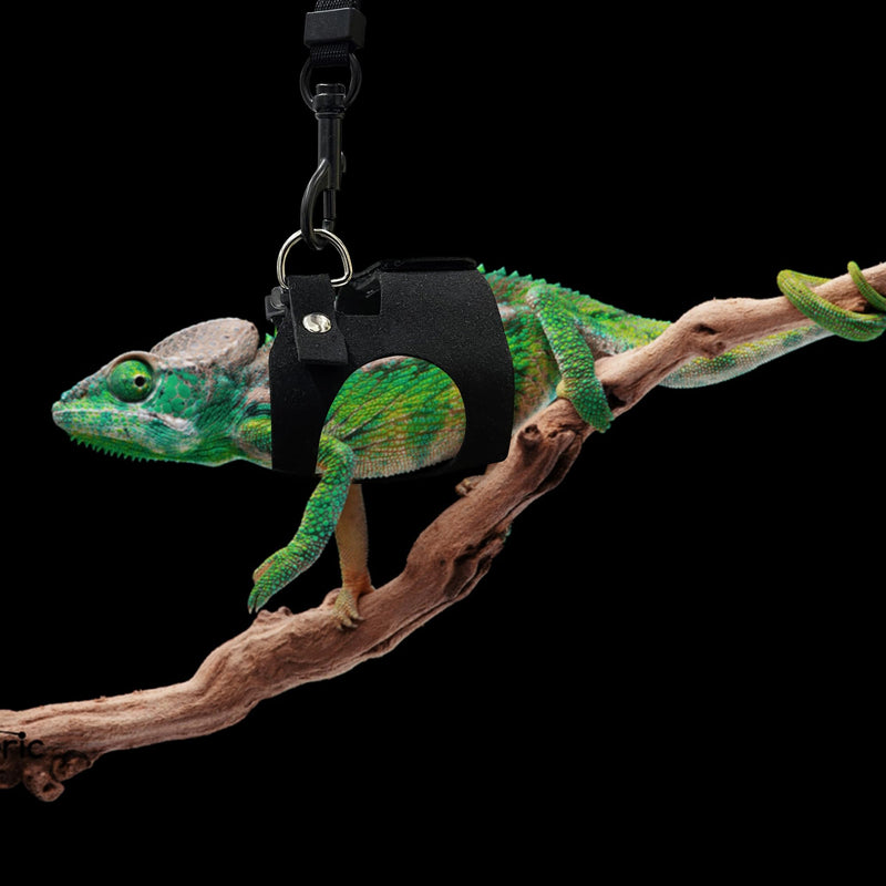 Bearded Dragon Harness and Leash Set, 3 Size Adjustable Soft Leather Reptile Leash, Lizard Harness with Retractable, Small Animal Outdoor Walking Vest with Traction Rope, 3 Pack, Black - PawsPlanet Australia