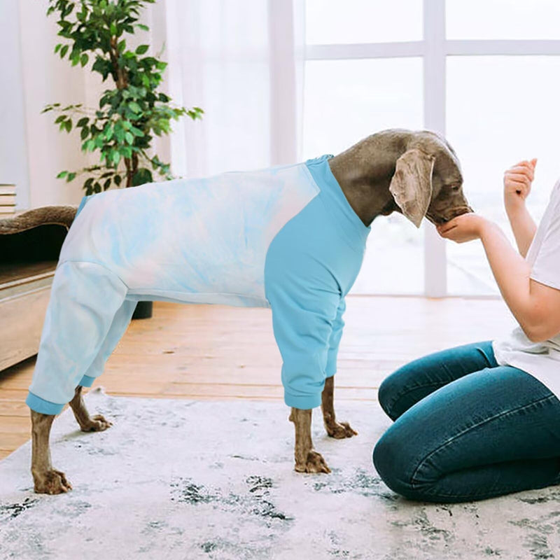 MIGOHI Full Body Dog Recovery Suit,Breathable Recovery Suit for Female Male,Dog Onesie,Anti-Licking Dog Pajamas Suit,Dog Surgery Suit Female Spay,Surgical Recovery Suit for Small Dogs,S,Blue Blue - PawsPlanet Australia