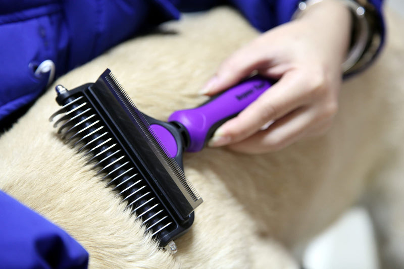 Maxpower Planet Cat Brush Deshedding and Dematting Tool for Dogs Double Sided Undercoat Rake Removes Loose Hair Large Purple - PawsPlanet Australia