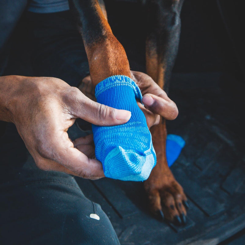 Ruffwear, Bark'n Boot Socks, Comfortable Dog Socks & Boot Liners, Blue Pool, 2.50 in/ 2.75 in - PawsPlanet Australia
