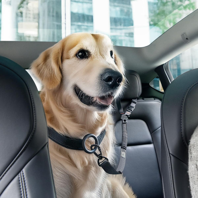 Spigen 2 in 1 Car Seat Belt Tether for Dogs (Headrest & Seatbelt Buckle) | High-Strength Heavy-Duty Strap | Adjustable Anti-Shock Bungee Leash Black for all pets - PawsPlanet Australia