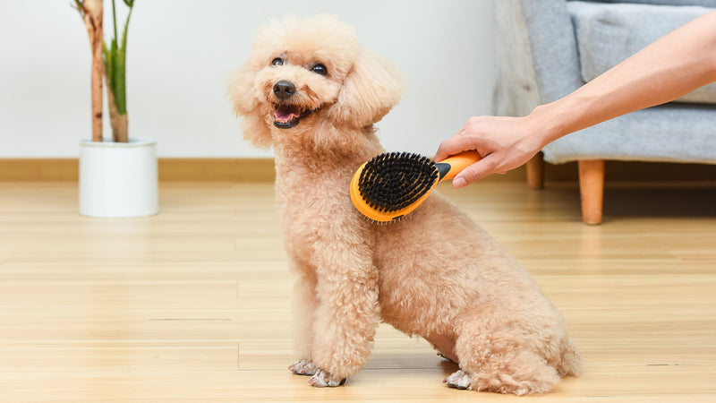 Wags & Wiggles Double Sided Dog Brush - Efficient Pet Grooming for Long or Short Haired Dogs & Cats, Shedding Brush, Detangling Pin & Bristle Dog Hair Remover Bristle and Pin Brush One Size
