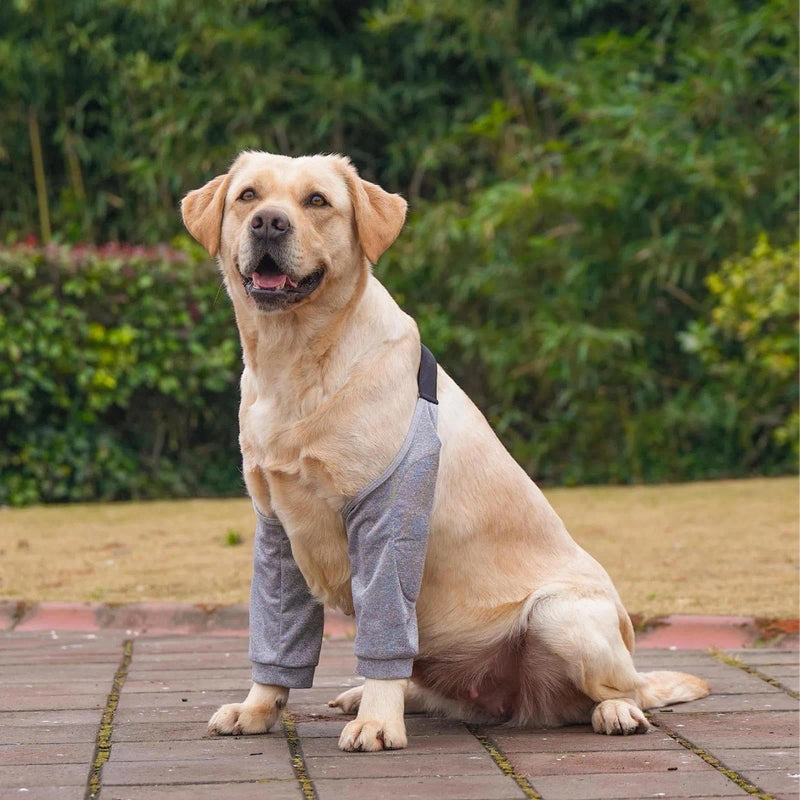 Pack of 2 Adjustable Elbow & Knee Support for Dogs, Breathable Mesh Joint Protectors with Fastening, Support Bandage for Dogs for Arthritis, Lameness & Post Surgery, Black/Grey