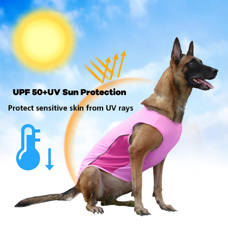 2 Pack UPF 50+ Sun Protection Sports Fan Pet T-Shirts, Quick-Dry Soft Clothes for Medium Large Dogs Girl, Tshirts with Reflective Strip Sleeveless Vest Pet Apparel P23ST00504XXXL 3XL(chest:21.5-26.7") 2Pack - Leopard - PawsPlanet Australia