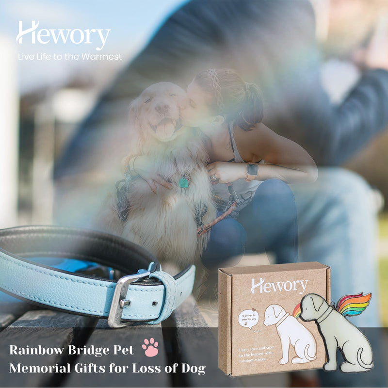 Hewory Loss Dog Sympathy Gifts: Dog Memorial Gifts for Loss of Dog Sympathy Gift Stained Glass Window Hanging, Pet Bereavement Rainbow Wings Dog Passing Away Remembrance Memory Ornament for Dog Lovers - PawsPlanet Australia