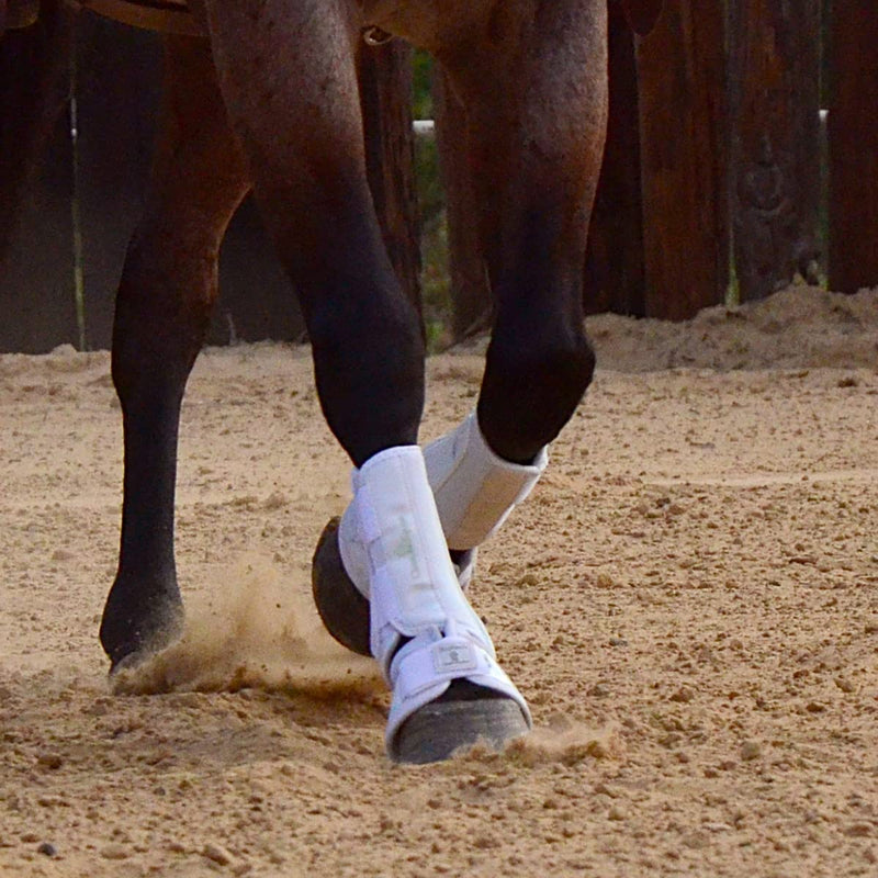 Classic Equine "" Equine Protech Medium White