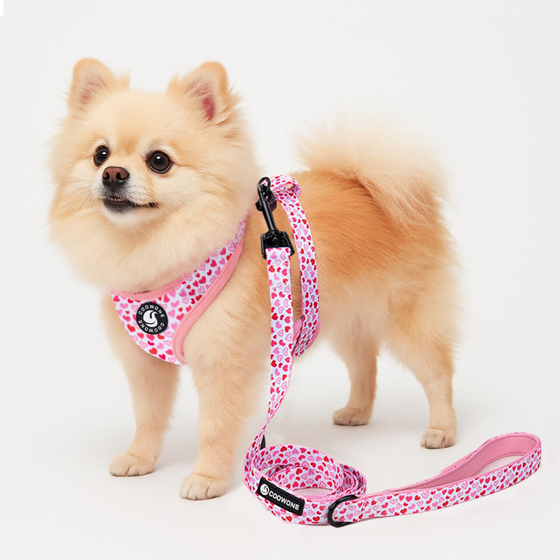 Dog Harness and Leash Set, Adjustable Dog Harness, Dog Leash, No Pull No Choke Puppy Harnesses for Walking Training for Small, Medium Pet (Little Love, S(Chest 14-19.6", Neck 10.6-13")) S(Chest 13 - 19", Neck 9.5 - 13.1") Little Love - PawsPlanet Australia