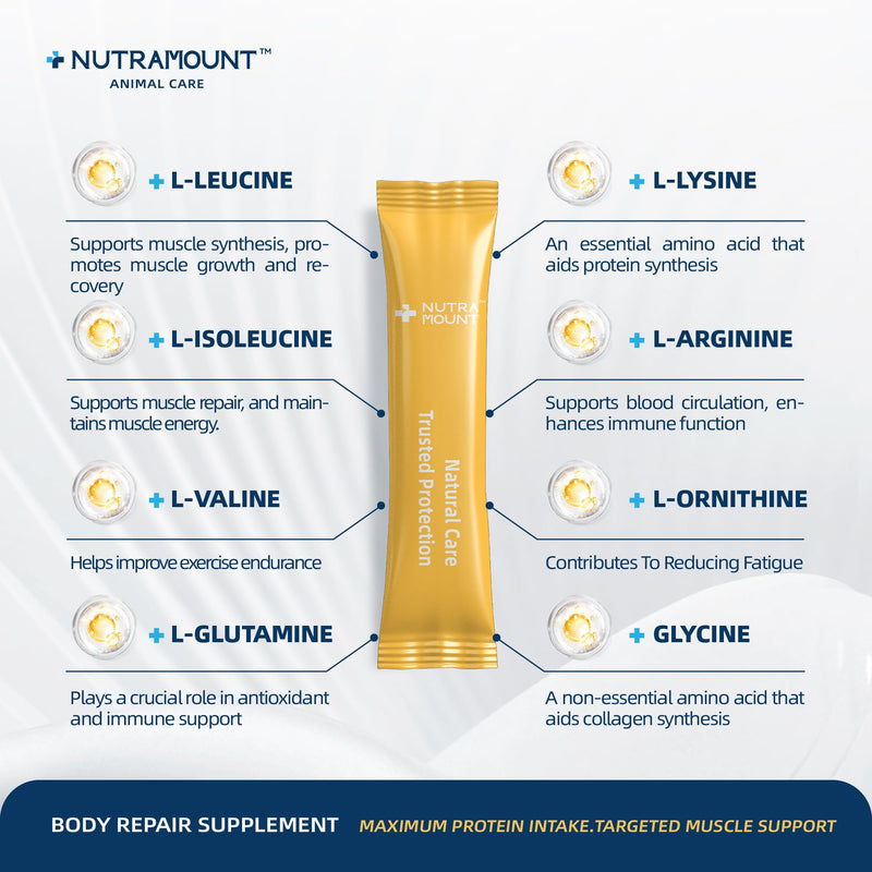 Body Repair Supplement for Horses, Amino Acids for Muscle Recovery, Protein Support & Performance-100 Day Supply Big Tub