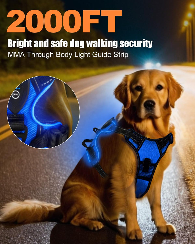 Light Up Dog Harness - LED Dog Harness Rechargeable for Night Walking, Three Lighting Modes, Flashing for More Than 20 Hours, Oxford Cloth(Blue/Large) Blue Large - PawsPlanet Australia