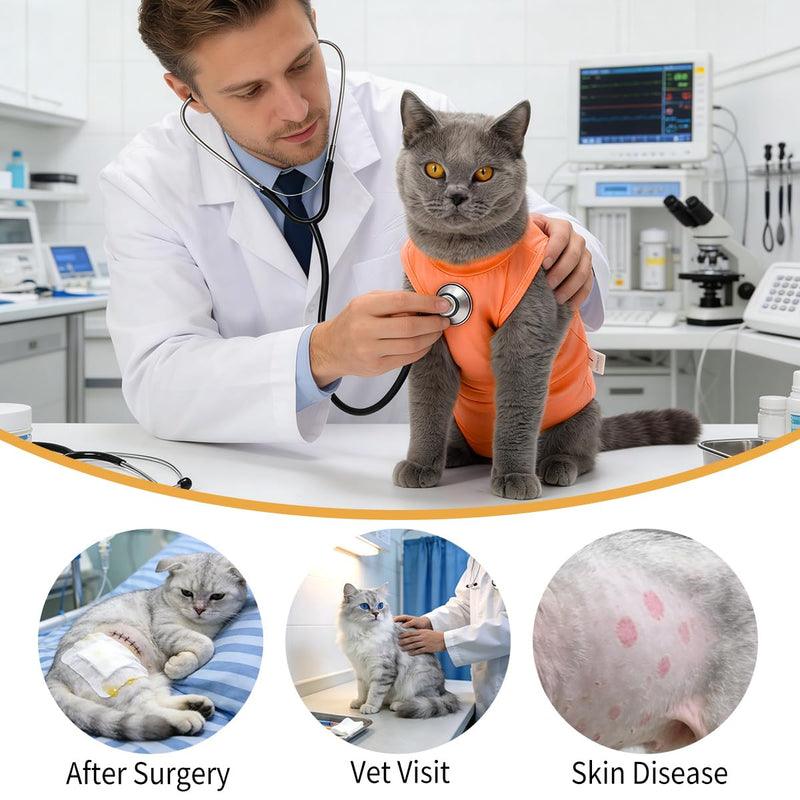 LIANZIMAU Cat Recovery Suit Female Cat Onesie After Surgery Spay Neuter Cone Alternative Breathable Post Surgery Recovery Suit Soft Cotton Adjustable Abdominal Bodysuit Kitten Healing Orange Large