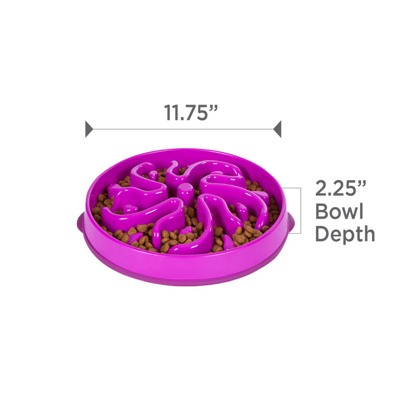 Outward Hound Fun Feeder Slo Bowl, Large Slow Feeder Dog Bowl, 4 Cups, Purple - PawsPlanet Australia