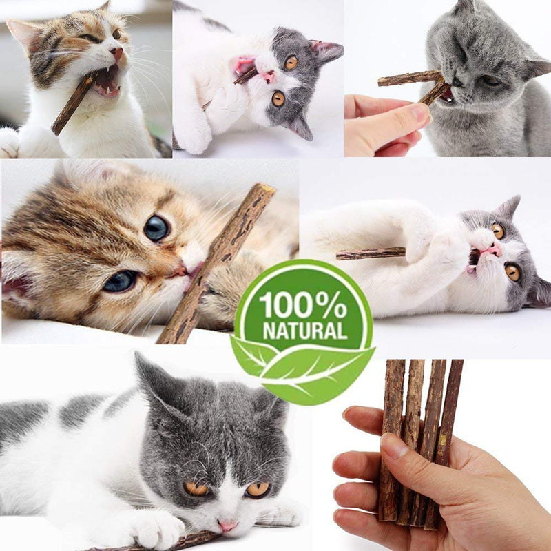 Cat Catnip Sticks Natural Matatabi Silvervine Sticks - Cleaning Teeth Molar Tools Kitten Cat Chew Toy Natural Catnip Cat Toy (10 PCS) 10 PCS