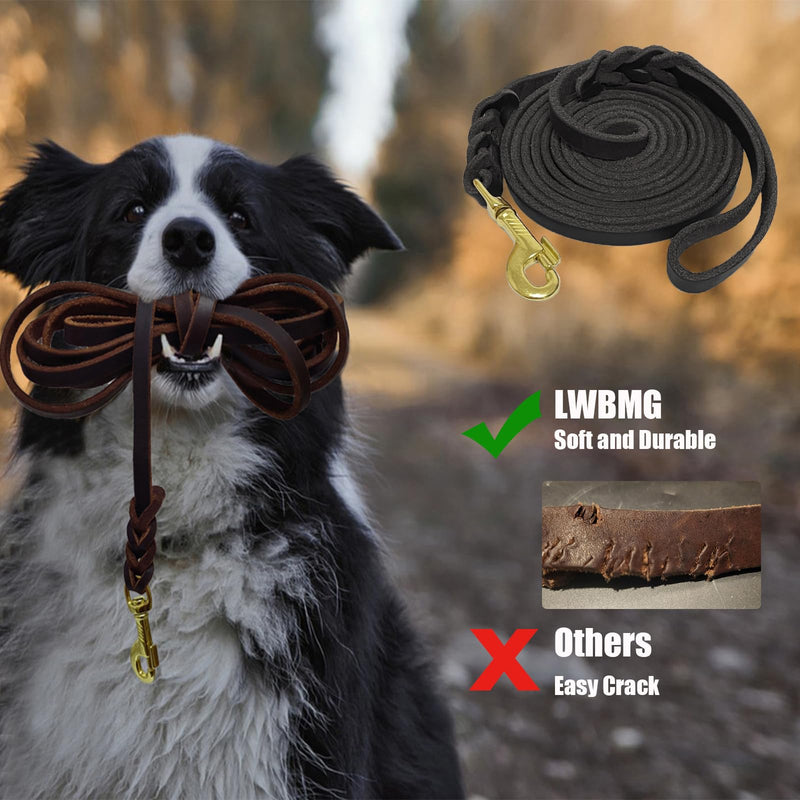 LWBMG Long Leather Dog Leash 15ft,Long Line Pet Leashes,Strong Sturdy Genuine Leather Braided Dog Lead, Soft and Comfortable Leash for Medium and Small Dogs Training Black 15ftx1/2''