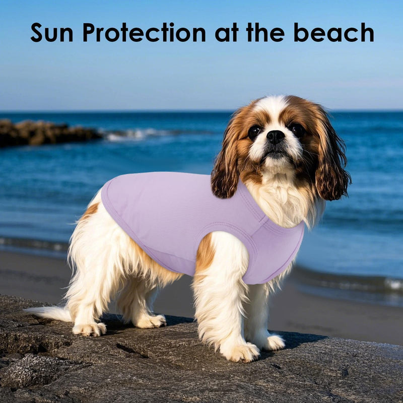 3 Pack L-Striped Purple Dog Tshirt,French Bulldog Large Sleeveless Tee to Prevent Overheating,Seaside,Backyard,Lightweight Cozy Indoor Lounge Wear,Striped & Solid Color(Purple,L) Large（Chest:18"） - PawsPlanet Australia