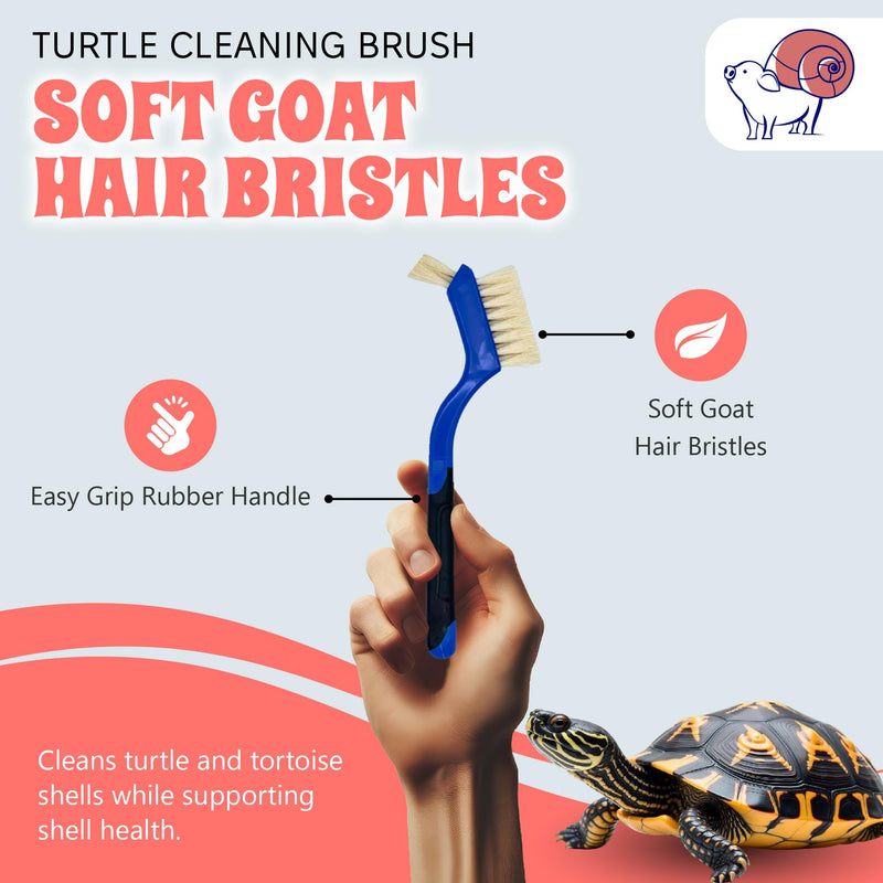 Turtle Cleaning Brush - Gently Remove Dirt from Turtles and Tortoises - Blue by Snout and Shell - PawsPlanet Australia