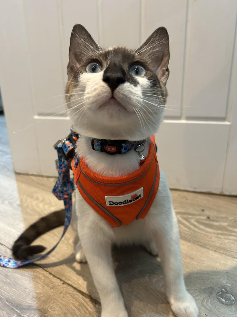 Doodlecat - Cat Harness and Lead Set - Adjustable Step In Mesh Cat Harness with Reflective Piping, Breathable Fabric and Secure Fit for Outdoor Walking - Small 28-33cm - Tangerine & Reef
