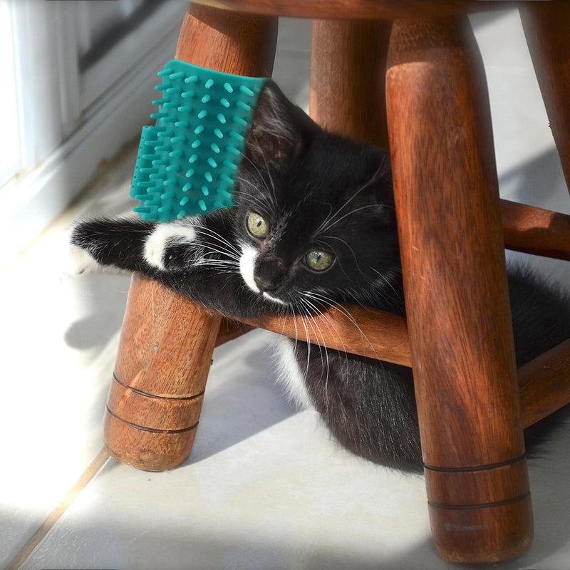 4 Pieces Adjustable Cat Self Groomer, TPR Cat Face Scratcher, Pet Self Grooming Corner Scratching Brush Tickling Comb for Long Short Hair Kitten Climbing Frames Table Legs (Mint Green) - PawsPlanet Australia