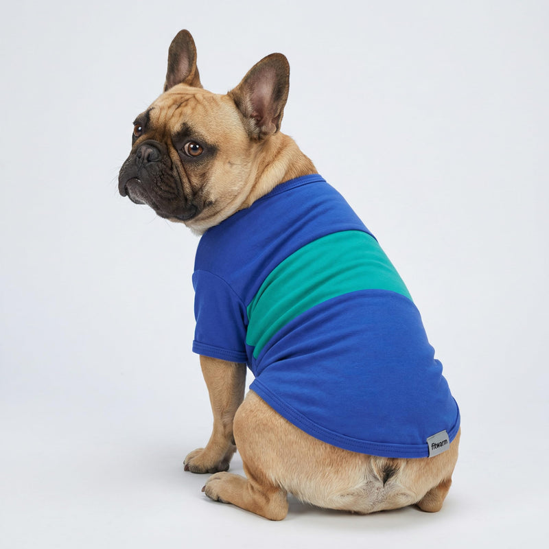 Fitwarm 3 Pack Color Block Striped Dog Shirt, Summer Dog Clothes for Small Dogs, Breathable Lightweight Pet Tshirt with Sleeves, Cat Outfit, Royal Blue, Gray, Teal, Medium RoyalBlue-Gray-Teal - PawsPlanet Australia