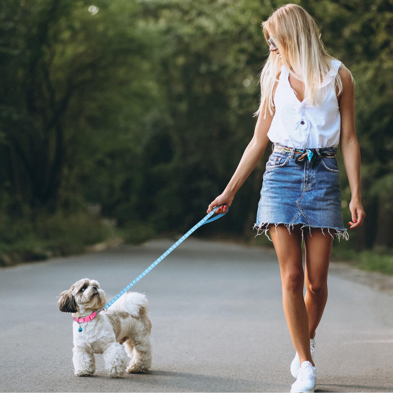 3 Pack Puppy Collar and Leashes Cat Small Dog Collar and Leash Pack Pet Kitten Collars and Leashes Adjustable Training Rope Quick Release Paw Print Soft Nylon