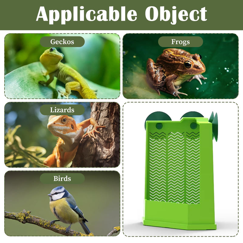 Bearded Dragon Feeder, Gecko Tank Accessories Cricket Keeper with 2 Suction Cups, Wall Mounted Reptile Tank Accessories for Lizard, Iguana, Gecko, Frog Hunting, Small Size(Green) - PawsPlanet Australia