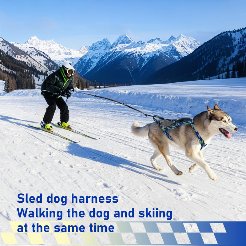 Dog Pulling Harness, Sled Dog Harness for Running, Pull Dogs Leash is Suitable for Cross-Country Running, Dogs Sports, Bicycle Traction, Ski Traction, Sled, Sled Dog 25.5kg (Blue, XXL) Blue - PawsPlanet Australia