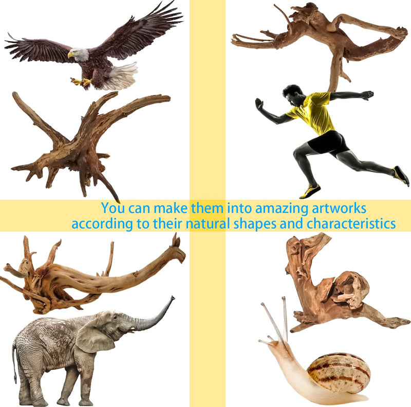8 Pack Natural Driftwood for Aquarium, Aquarium Decor Spider Wood Freshwater Fish Tank Reptile Driftwood Branch (3.15"- 4") 3.15"- 4" - PawsPlanet Australia