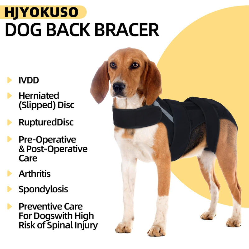 Dog Back Brace M, Adjustable Spine Support Vest for IVDD, Slipped Disc, Herniated Disc, Arthritis, Post Surgery Recovery, Back Pain Relief for Dachshund,Corgi Black