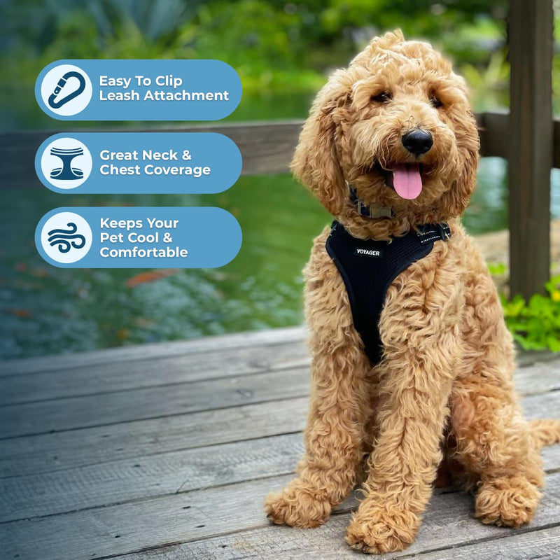 Best Pet Supplies Voyager Adjustable Dog Vest Harness Breathable No Pull Harness for Small, Medium, Large Dogs, Harness for Walking, Jogging, Easy Step-in, Reflective Stripes - Black, S Harness (Black) S (Chest: 15 - 18") - PawsPlanet Australia