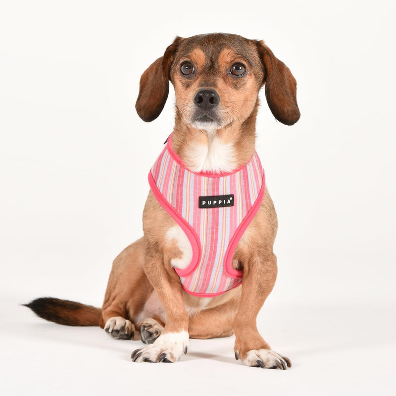 Puppia Theros Dog Harness A (Over-The-Head) Fashionable Striped Pattern Spring Summer Harness for Small and Medium Dogs, Pink, Small PINK_THEROS - PawsPlanet Australia