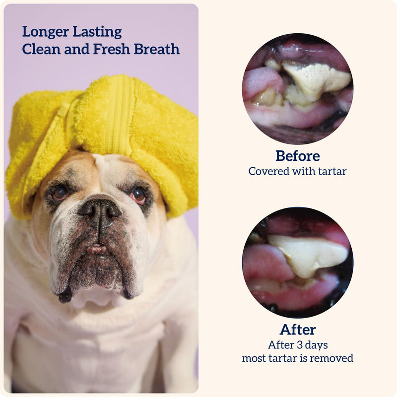 Groovies Gentle & Flexible Senior Dog Dental Chews, Contact-Cleaning Design Supporting Tartar Control & Fresh Breath, Oral Care Treats, USA Manufactured, Patented DentalFit Tech, Small Dogs, 43 Chews Small(5-15 lbs) 12 Ounce - PawsPlanet Australia
