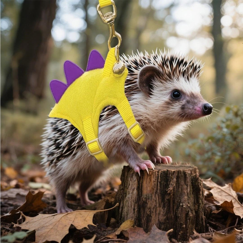 Yellow Dinosaur Hedgehog Leash and Harness Ferret Harness and Leash Set Hedgehog Accessories Adjustable Hamster Clothes Guinea Pig Outfits for Training Playing - PawsPlanet Australia