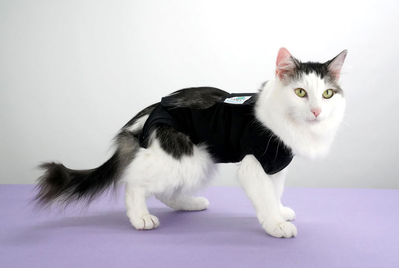 Recovery Vest for Cats (Medium/Large) Medium/Large - PawsPlanet Australia