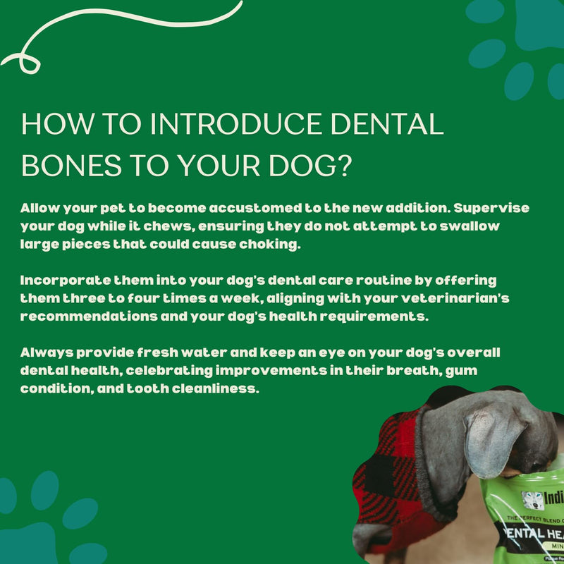Indigenous Pet Dental Health Bones Mini 2 Pack – Original Fresh Breath (11.92 Ounce x 2) | Grain-Free Dog Chews with Prebiotics & Omegas | Freshens Breath, Supports Digestive, Skin & Coat Health | 11.92 Ounce (Pack of 2)