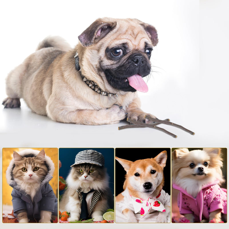 VALICLUD Natural Pet Chew Toy made from Dried Apple Twig for Dental Care and Entertainment for Small Animals