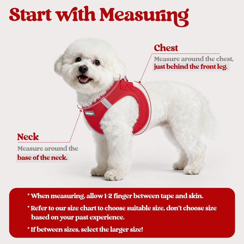 rabbitgoo Dog Harness Small Sized and Leash Set, Step in Soft Light Puppy Vest, Breathable Mesh Pet Harness, Reflective for Safe Easy Walking, Red M M (Chest: 16 - 18.5") - PawsPlanet Australia
