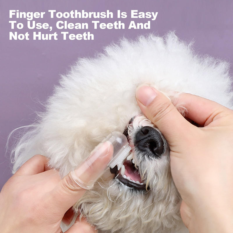 Dental care dog set, toothbrush for dogs and cats, dog toothpaste against tartar, with toothbrush, toothpaste and dog toothbrush, finger toothbrush, removes plaque and bad breath, beef flavor Blue Version