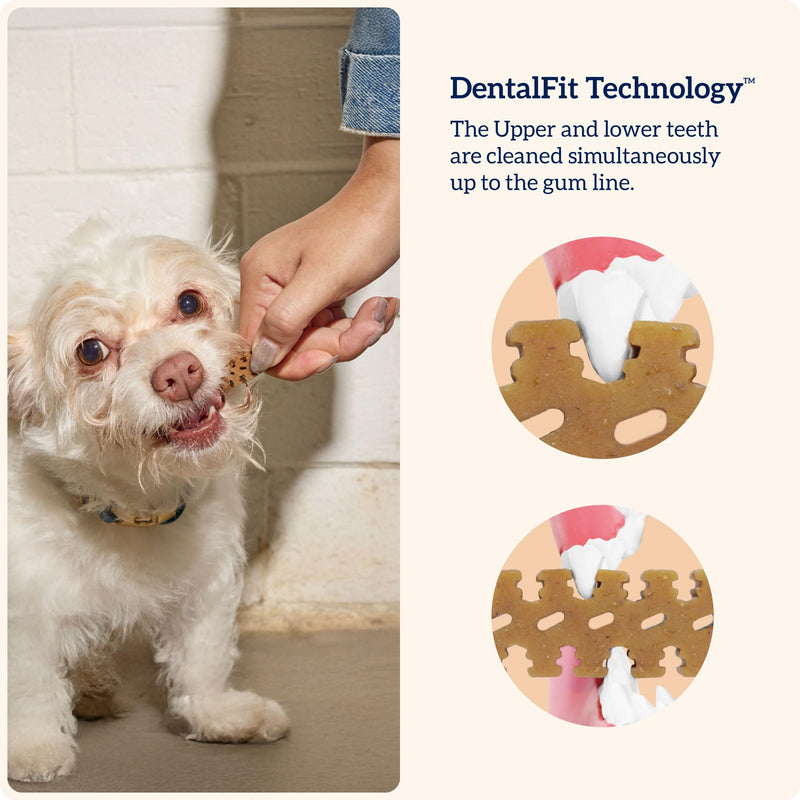 Groovies Gentle & Flexible Senior Dog Dental Chews, Contact-Cleaning Design Supporting Tartar Control & Fresh Breath, Oral Care Treats, USA Manufactured, Patented DentalFit Tech, Small Dogs, 43 Chews Small(5-15 lbs) 12 Ounce - PawsPlanet Australia