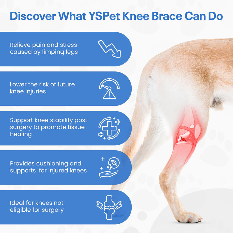 Premium Dog Knee Brace for Torn ACL/CCL - Large Universal Brace for Hind Leg Support and Hip Dysplasia - Durable Dog Leg Braces for All Four Legs Neoprene Dog Knee Brace - PawsPlanet Australia