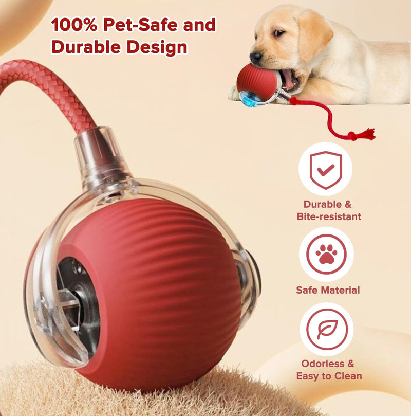 Interactive Cat Toys for Indoor Cats, Motion Activated Cat Ball with 3 Speeds, 2 Replaceable Tails, Safe Material Kitten Toys, USB Charging, 360° Smart Rolling Ball for Bored Adult Cats and Dogs - PawsPlanet Australia