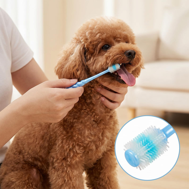 4-Piece Cat Toothbrush, Dog Toothbrush for Small Dogs, 360 Degree Cleaning Dog Toothbrush, Reusable Bristle Long Handle Toothbrush (Pink, Purple, Blue, Green)