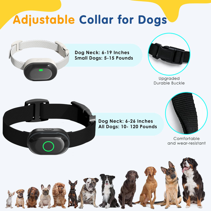 Lychee Training Collar for Two Dogs，One Large(10-120lbs) and One Small (5-50lbs) Sport Dog Correction Shock Collar for Training with 1300FT Remote Control, IPX7 Waterproof and Rechargeable - PawsPlanet Australia