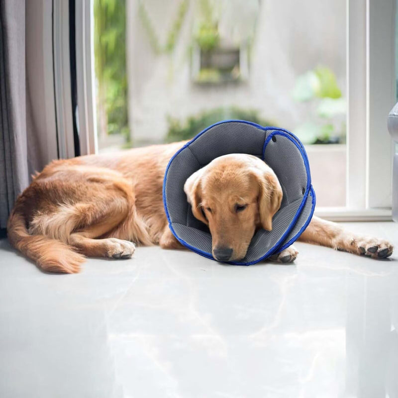 Dog Cone for Dogs After Surgery,Adjustable Protective Dog Recovery Collars & Cones for Large Medium Small Dogs Cats,Comfy Soft Dog Cones Prevent Pets from Touching Stitches Rashes,Wounds,Blue,L L(Neck Girth:13.39"-17.32") Blue