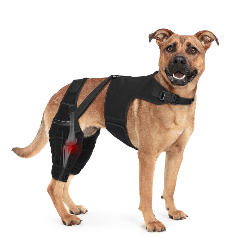 Dog Knee Brace Double Leg Support with Vest - Orthopedic Joint Stabilizer for ACL Tear, Arthritis, Patella Recovery - Adjustable Non-Slip Recovery Brace for Small Middle Large Dogs (Small)