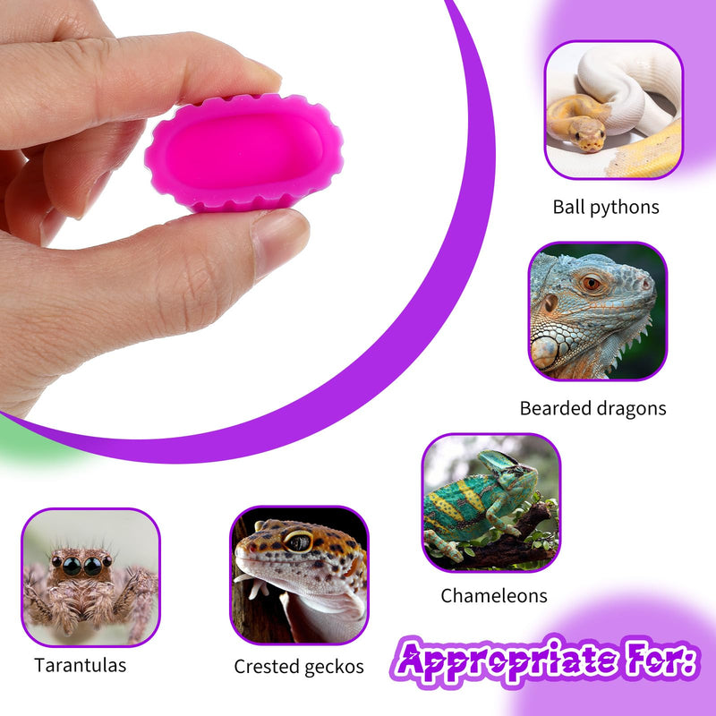 12PCS Gecko Food Cups, Plastic Crested Geckos Food Dish, Reptile Crested Silicone Bottle Caps, Mini Tray for Geckos Feeding Cups Easy to Clean - PawsPlanet Australia