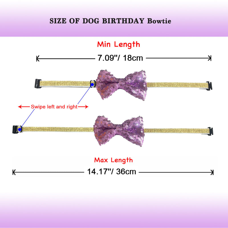 Dog Cat Birthday Hat Pet Party Crown Hat and Bow Tie Purple Breakaway Set Purple for Kitten Puppy