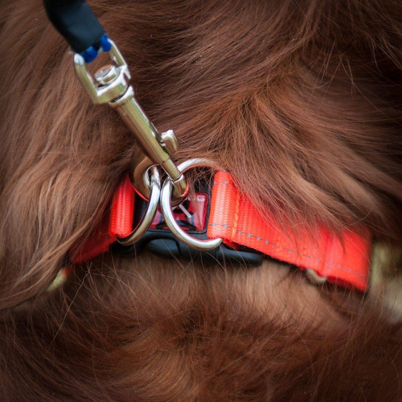 EzyDog Double Up Premium Nylon Dog Collar with Stitching - Double D-Rings for Superior Strength, Safety, and Comfortability - Non-Rusting and Includes an ID Attachment (Medium, Corduroy) m - PawsPlanet Australia
