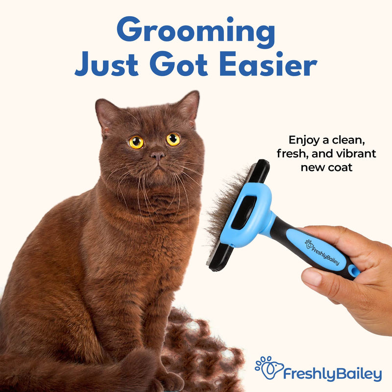 Deshedding Brush for Short Haired Dogs & Cats - Cat and Dog Brush for Shedding Short Hair - Highly Effective Deshedder Grooming Comb - PawsPlanet Australia